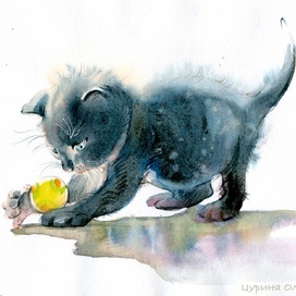 Черныш играет с мячиком