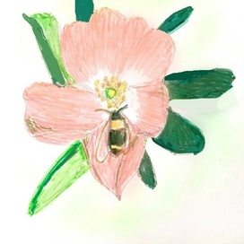 Шмель на шиповнике