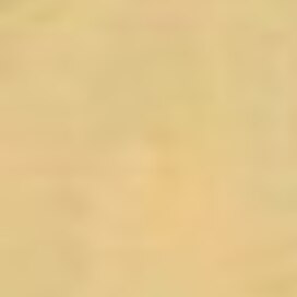 Два товарища