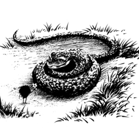 Приключения маленького Чуша 2