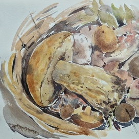 Лесные трофеи и мой первый белый