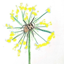 Жук на цветке