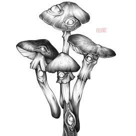 вариации мухоморов