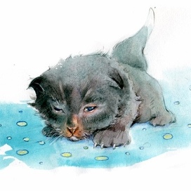 Черныш открывает глазки