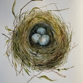 Яичные истории