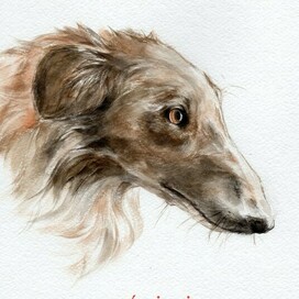 Портрет борзой