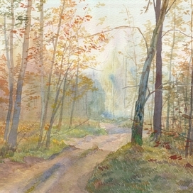 Лесная тропа