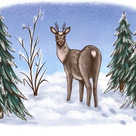 Иллюстрация к сказу Серебряное копытце. Олененок в лесу