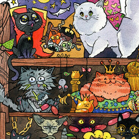 Котополочка