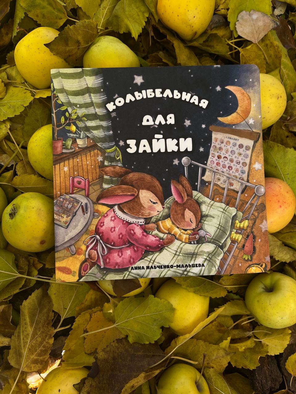 Обложка для книги "Колыбельная для зайки", автор Анна Ильченко-Мальцева, 2025 г