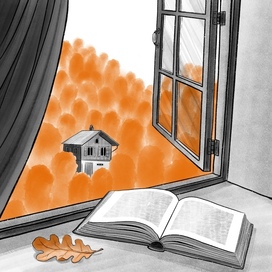 Книга на окне