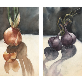 Луковые истории