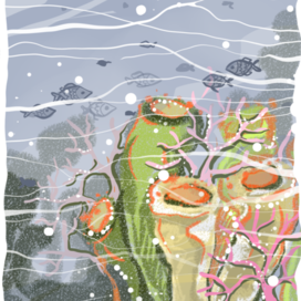 Морское дно 