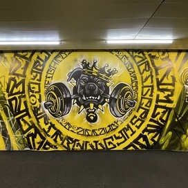 PIT BULL GYM - 3 | FREAKTOR X WIDO(AKV)