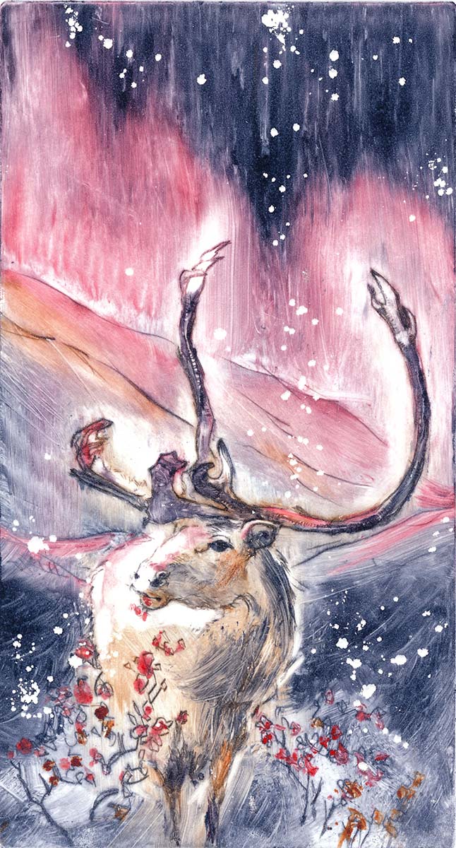 Северный олень