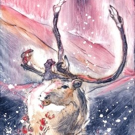 Северный олень