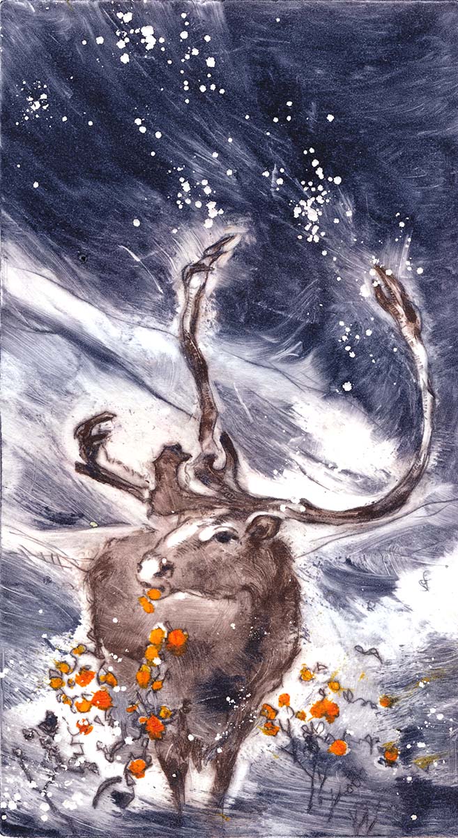 Северный олень