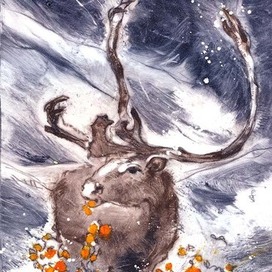 Северный олень