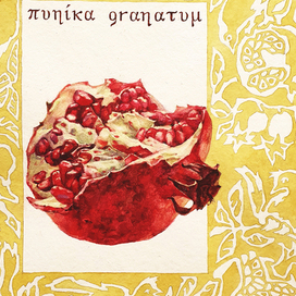 Гранат-фрукт