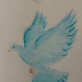 Голубь