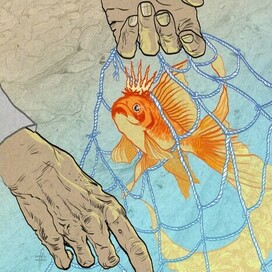 Золотая рыбка