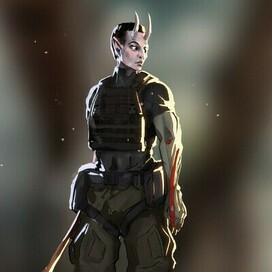 Контрактор