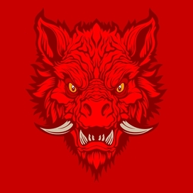 Редрав кабана