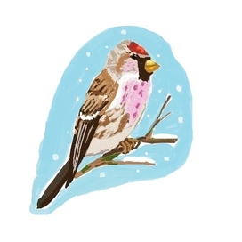 Птица зимой