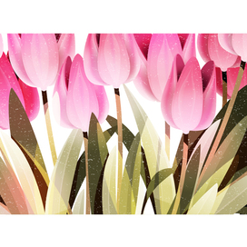 Сад тюльпанов