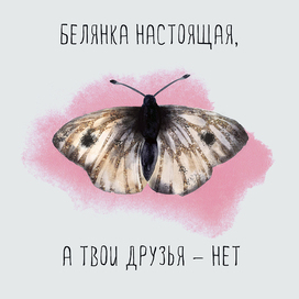 Открытка для врага