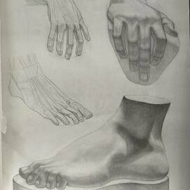 академический рисунок гипсовой стопы и кисти руки