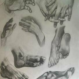 академический рисунок кисти рук и стопы