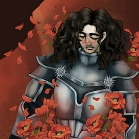 Рыцарь в море маков