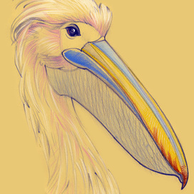 Цапля Глаша