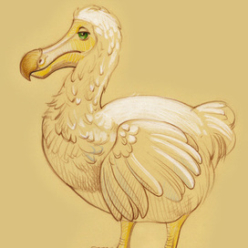 Додо, персонаж для Алисы в стране чудес 