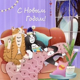 C новым годом!