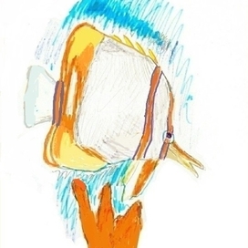 Рыба - бабочка