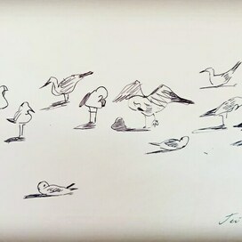 Солёный воздух