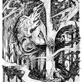 Госпожа черного озера