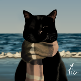 Кот на море