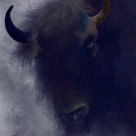 бык по имени Г