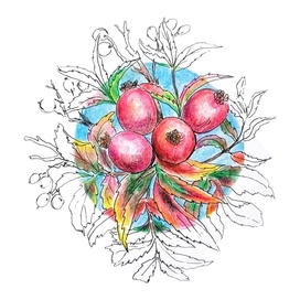 Осенние ягоды: шиповник