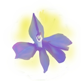 Дельфиниум дикий