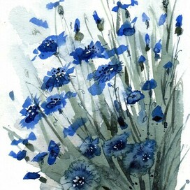 Букет васильков