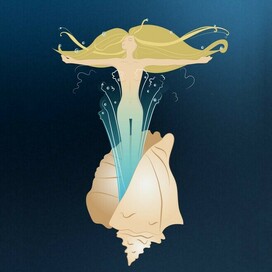 Из раковины