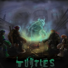 turtles