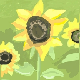 Подсолнухи