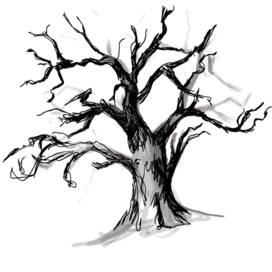 Дуб в графике