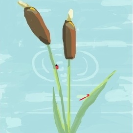 Возле озера