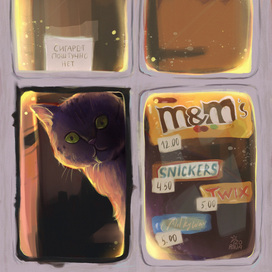 Кот в ларьке